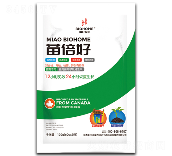 �籶�ã��~�桢���Ԍ��ã�-������