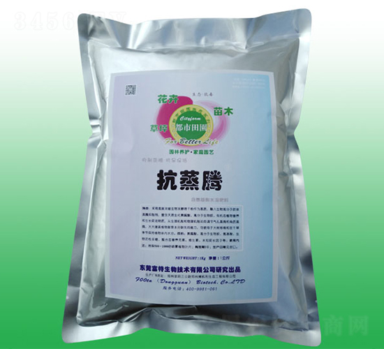 ���v���Ƅ�-��������