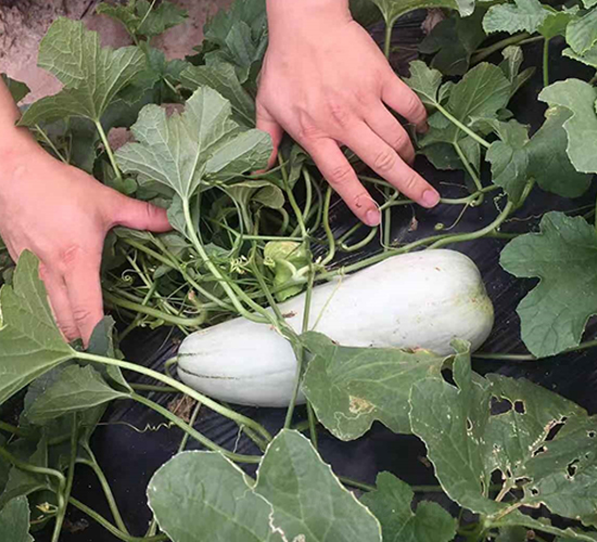 ʥ�r(n��ng)402���-��ϷN��-ʥ�r(n��ng)�߿�