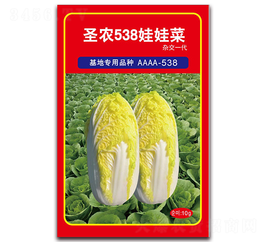 ʥ�r(n��ng)538���޲�-���޲˷N��-ʥ�r(n��ng)�߿�