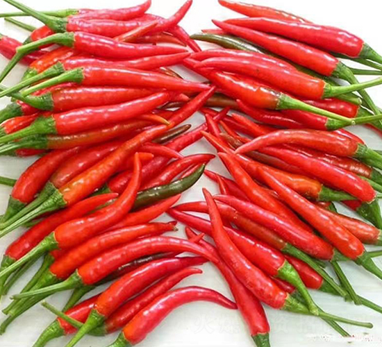 ʥ�r(n��ng)�t��ʯ06���콷-���콷�N��-ʥ�r(n��ng)�߿�