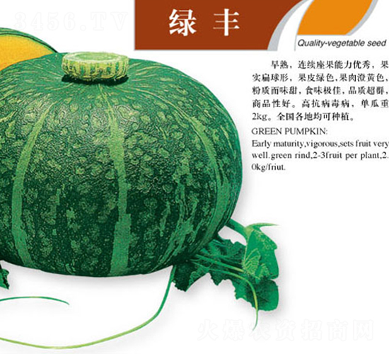 �G�S-�ϹϷN��-ʒ�·N�I(y��)