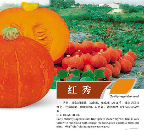 �t��-�ϹϷN��-ʒ�·N�I(y��)