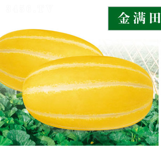 ��M��-��ϷN��-ʒ�·N�I(y��)