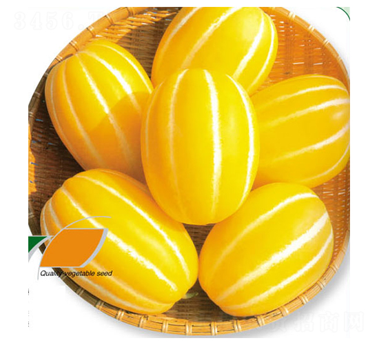 �S����-��ϷN��-ʒ�·N�I(y��)