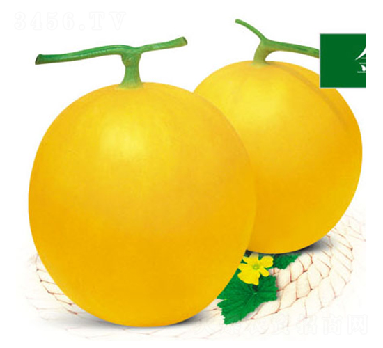 ����-��ϷN��-ʒ�·N�I(y��)