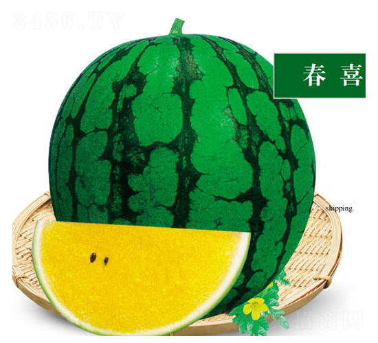 ��ϲ-���ϷN��-ʒ�·N�I(y��)