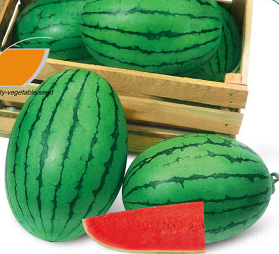 ���ᭇ-���ϷN��-ʒ�·N�I(y��)