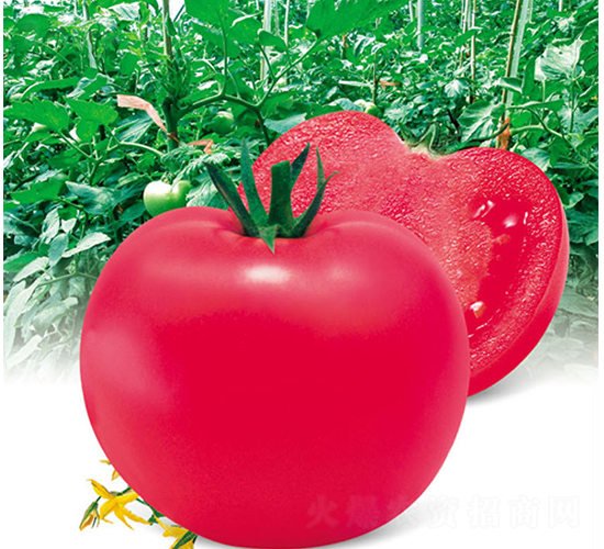 ���A�۹�-���ѷN��-ʒ�·N�I(y��)