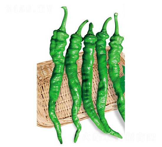 ��������-�����N��-ʒ�·N�I(y��)