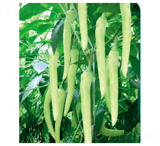 ����-�����N��-ʒ�·N�I(y��)