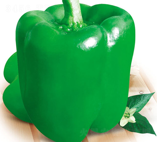 ����-�𽷷N��-ʒ�·N�I(y��)