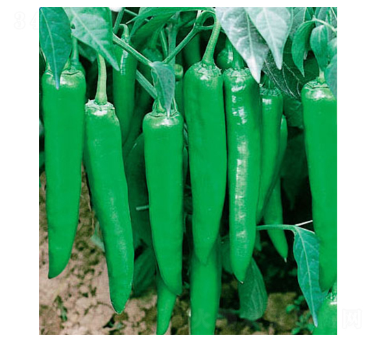 ��������-�����N��-ʒ�·N�I(y��)