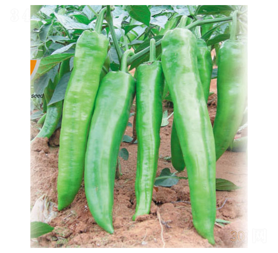 ���o(j��)����-�����N��-ʒ�·N�I(y��)