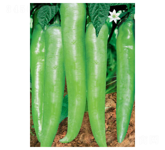 ����-�����N��-ʒ�·N�I(y��)