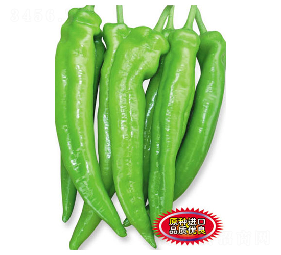 ˹����-�����N��-ʒ�·N�I(y��)