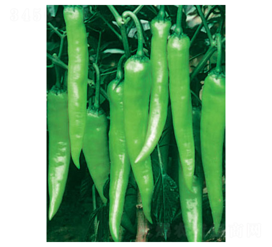 ʒ�¾�̖(h��o)B��-�����N��-ʒ�·N�I(y��)