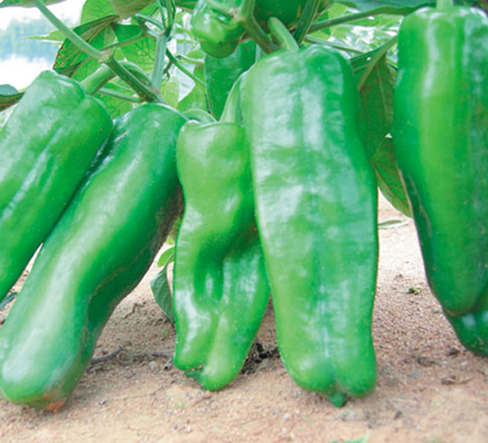 ʒ��301-�����N��-ʒ�·N�I(y��)