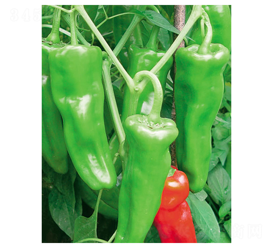 ��������-�����N��-ʒ�·N�I(y��)