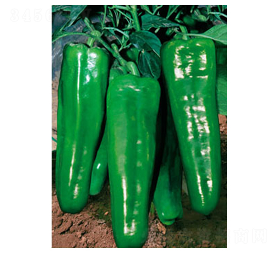 ����201-�����N��-ʒ�·N�I(y��)