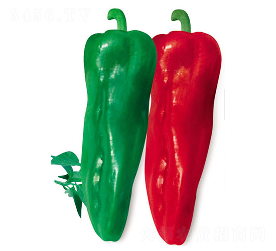 ʒ�°�̖-�����N��-ʒ�·N�I(y��)