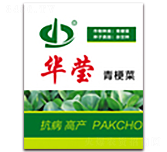 �A��-�๣�˷N��-����N��