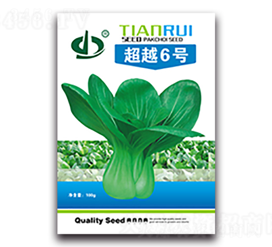 ��Խ6̖(h��o)-�๣�˷N��-����N��