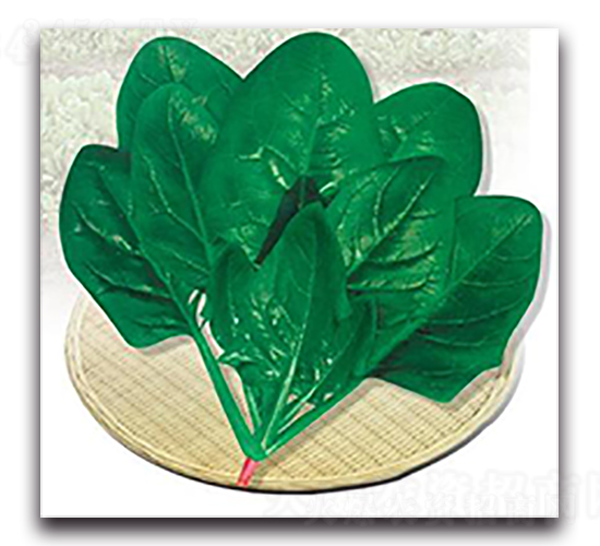 ���m����-���˷N��-����N��