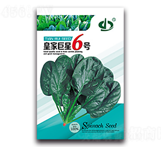 �ʼҾ���6̖-���˷N��-����N��