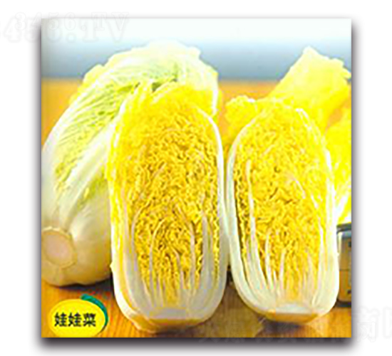 ��(qi��ng)ʢ-�ײ˷N��-����N��