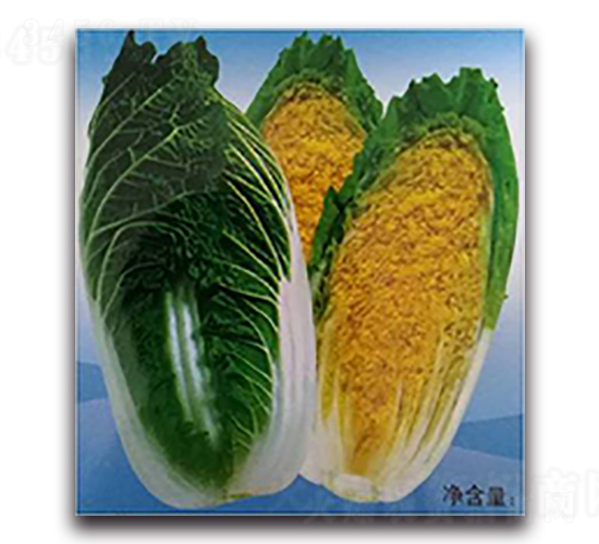 ���נ�-�ײ˷N��-����N��