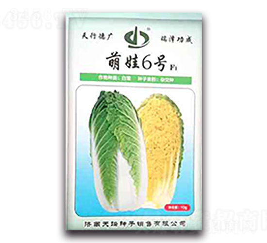 ����6̖-�ײ˷N��-����N��