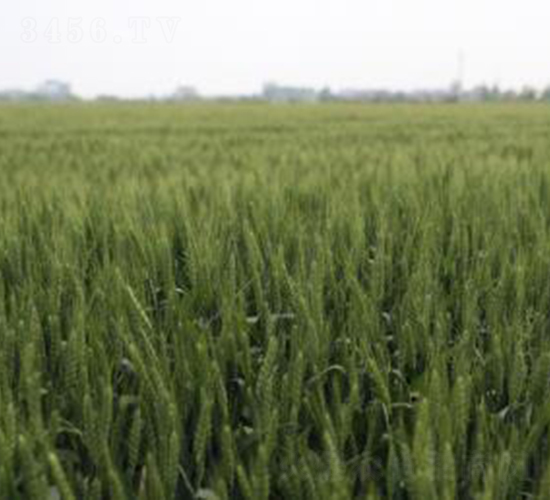 �r(n��ng)��158-С���N��-���r(n��ng)���S