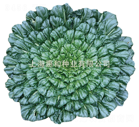 ��ɏ-�����˷N��-�ݺͷN�I(y��)