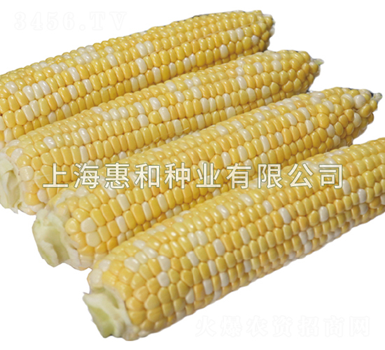 �pɫ֮�p-���׷N��-�ݺͷN�I(y��)