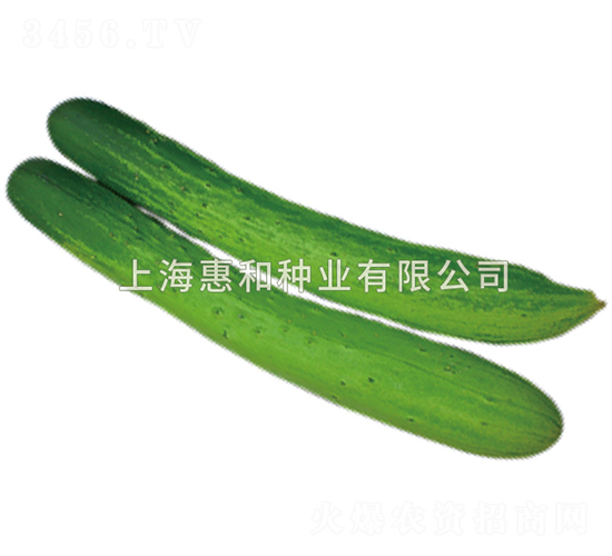 ��(ji��)�ɰ��-�S�ϷN��-�ݺͷN�I(y��)