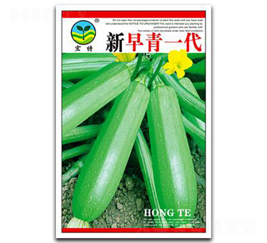 ������һ��-�����J�N��-����