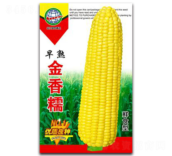 �������Ŵ-Ŵ���׷N��-����