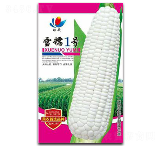 ѩŴ1̖(h��o)-Ŵ���׷N��-����