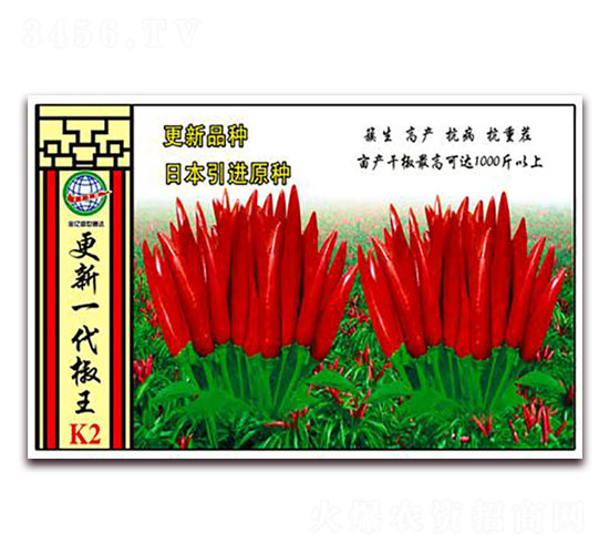 ����һ������-�����N��-����