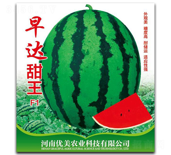 ���_(d��)����-���ϷN��-��(y��u)���r(n��ng)�I(y��)