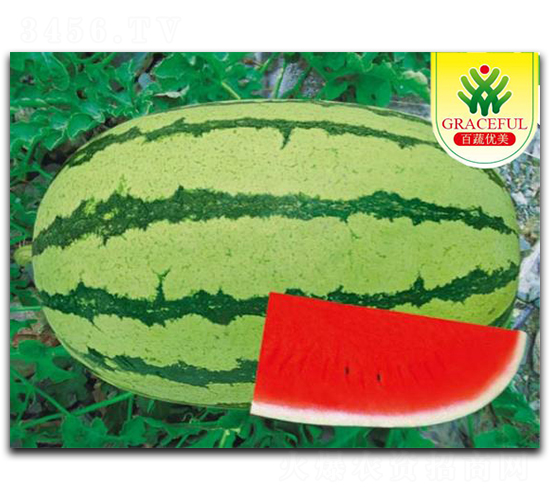 ���v��̖-���ϷN��-��(y��u)���r(n��ng)�I(y��)