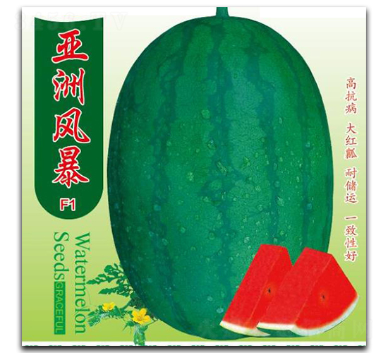 �����L��-���ϷN��-��(y��u)���r(n��ng)�I(y��)