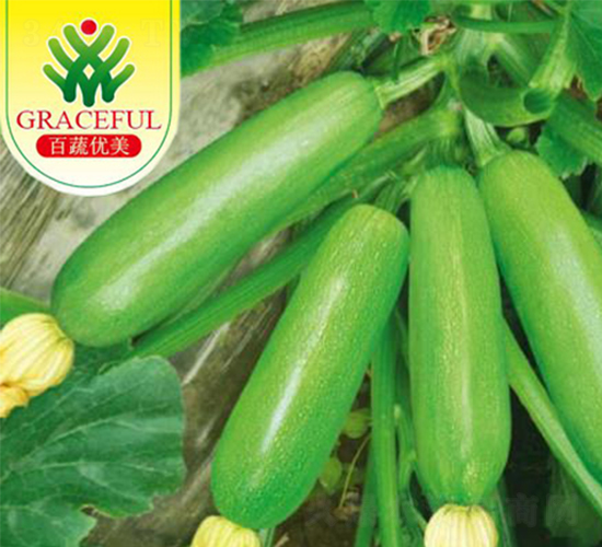 �̬�-�����J�N��-��(y��u)���r(n��ng)�I(y��)