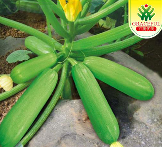 ������̖(h��o)-�����J�N��-��(y��u)���r(n��ng)�I(y��)