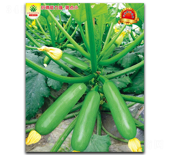 ʢ��-�����J�N��-��(y��u)���r(n��ng)�I(y��)