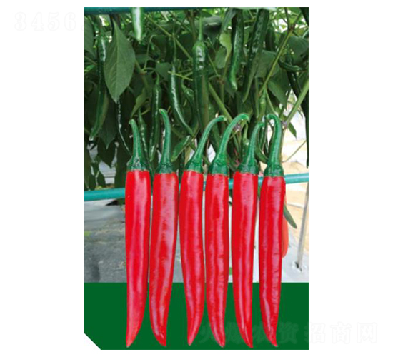 �A��168-�����N��-��(y��u)���r(n��ng)�I(y��)