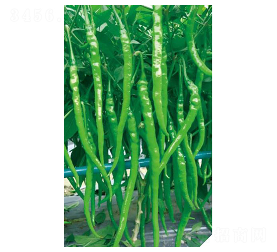 ����66-�����N��-��(y��u)���r(n��ng)�I(y��)