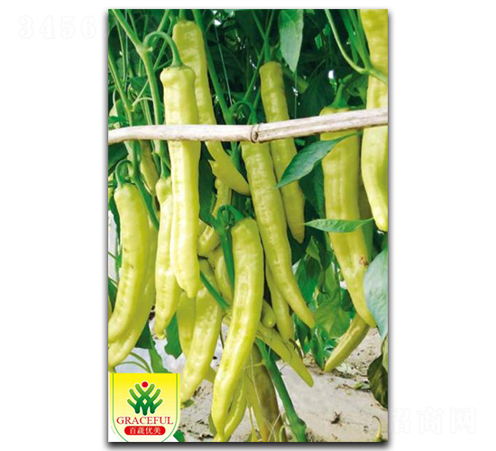 ��ϲ-�����N��-��(y��u)���r(n��ng)�I(y��)