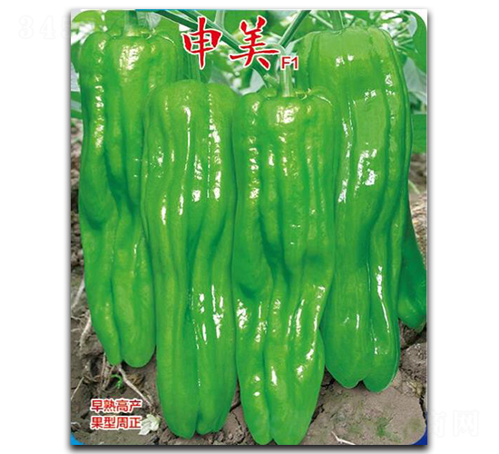 ����-�����N��-��(y��u)���r(n��ng)�I(y��)